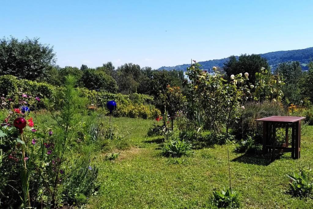 Seenah - Ihre Wohnung Am Bodensee / Untersee Gaienhofen  Esterno foto