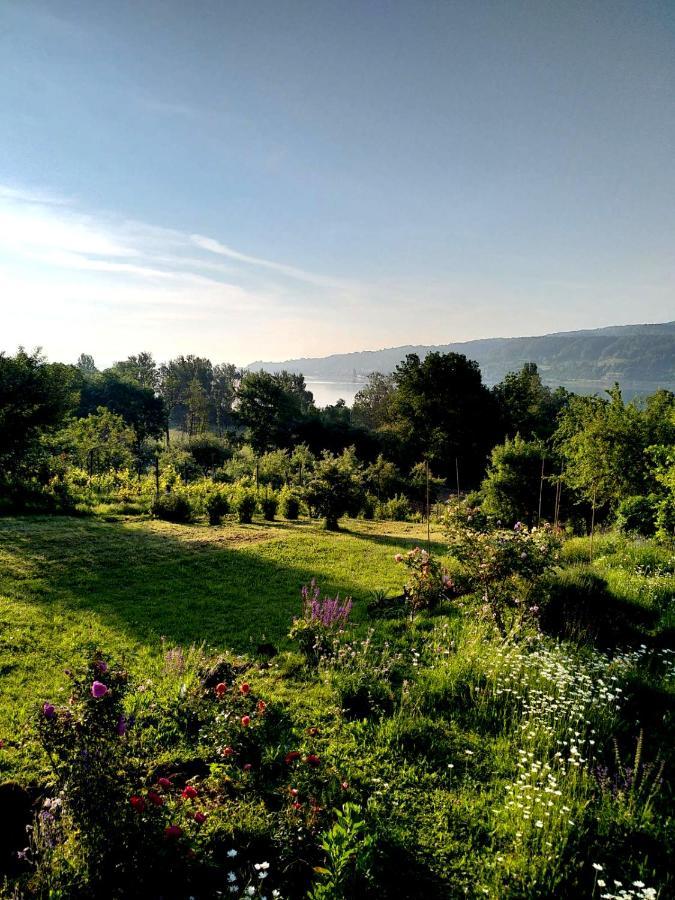 Seenah - Ihre Wohnung Am Bodensee / Untersee Gaienhofen  Esterno foto